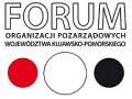 Rekomendacje trzynastego Forum NGO